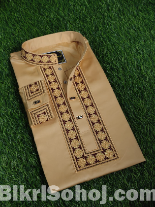 Embroidery Panjabi